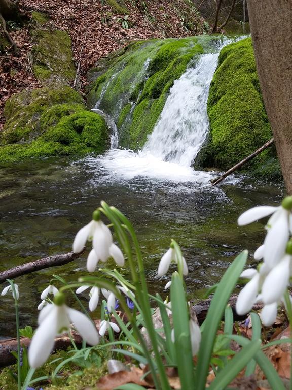 Pensiunea Piatra Graitoare Vartop Dış mekan fotoğraf