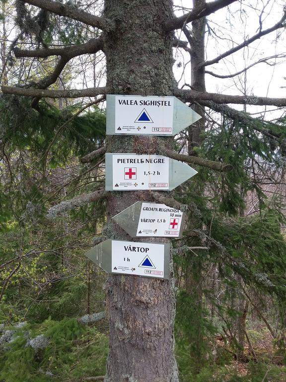 Pensiunea Piatra Graitoare Vartop Dış mekan fotoğraf