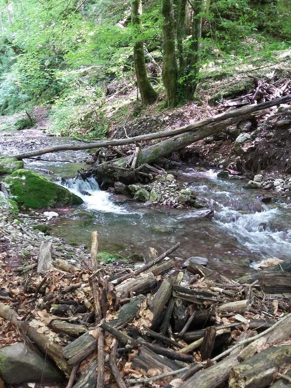 Pensiunea Piatra Graitoare Vartop Dış mekan fotoğraf
