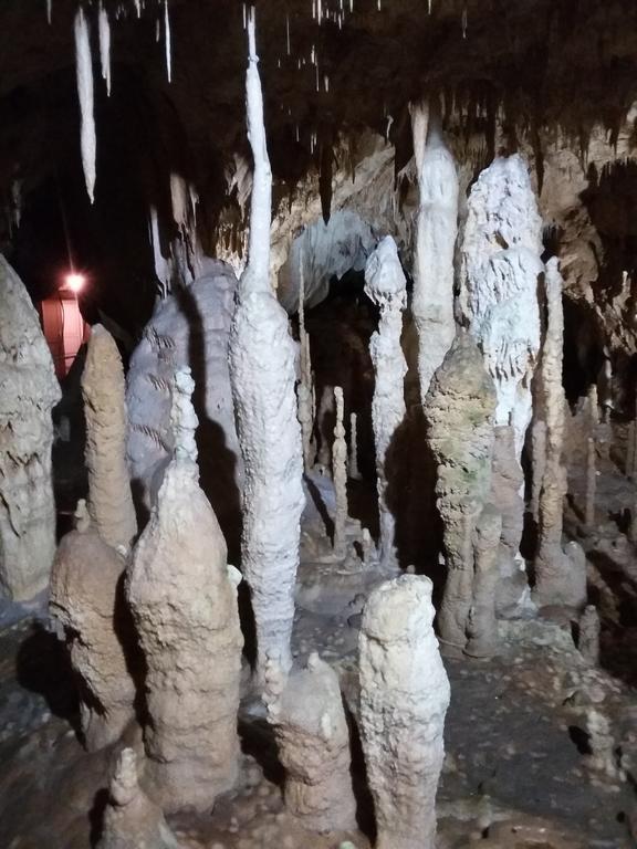 Pensiunea Piatra Graitoare Vartop Dış mekan fotoğraf