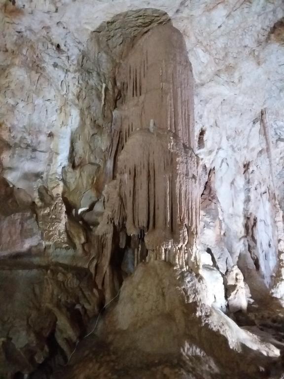 Pensiunea Piatra Graitoare Vartop Dış mekan fotoğraf