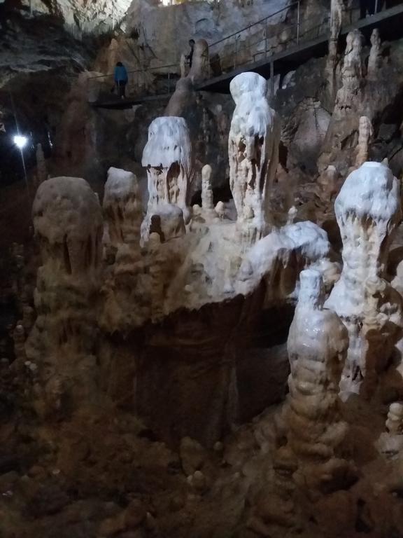 Pensiunea Piatra Graitoare Vartop Dış mekan fotoğraf