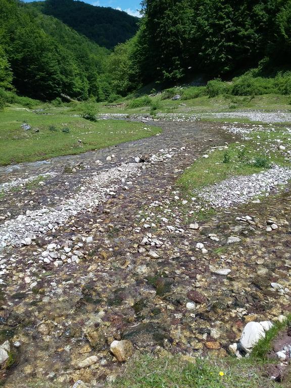Pensiunea Piatra Graitoare Vartop Dış mekan fotoğraf