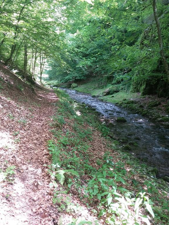 Pensiunea Piatra Graitoare Vartop Dış mekan fotoğraf