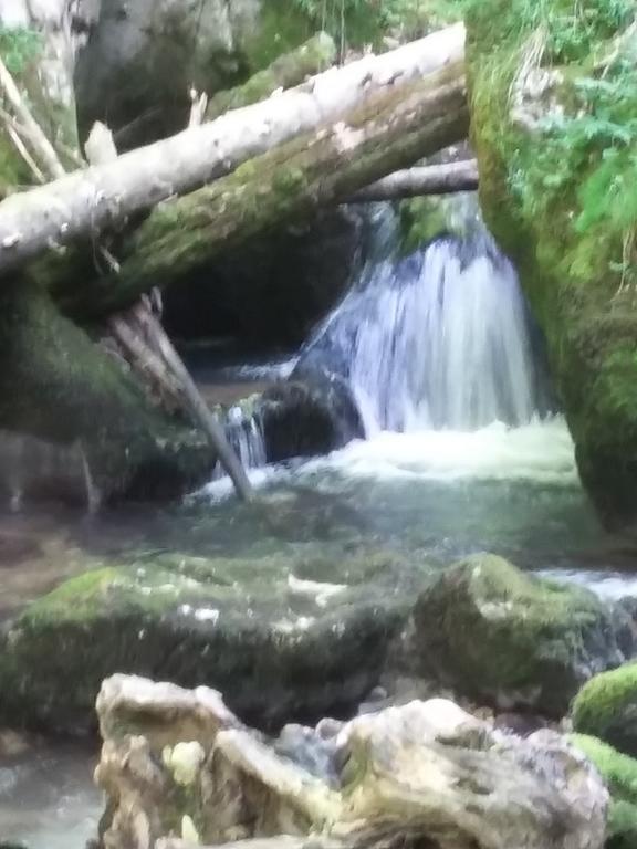 Pensiunea Piatra Graitoare Vartop Dış mekan fotoğraf
