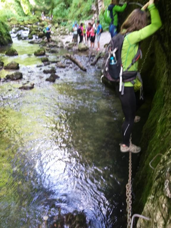 Pensiunea Piatra Graitoare Vartop Dış mekan fotoğraf