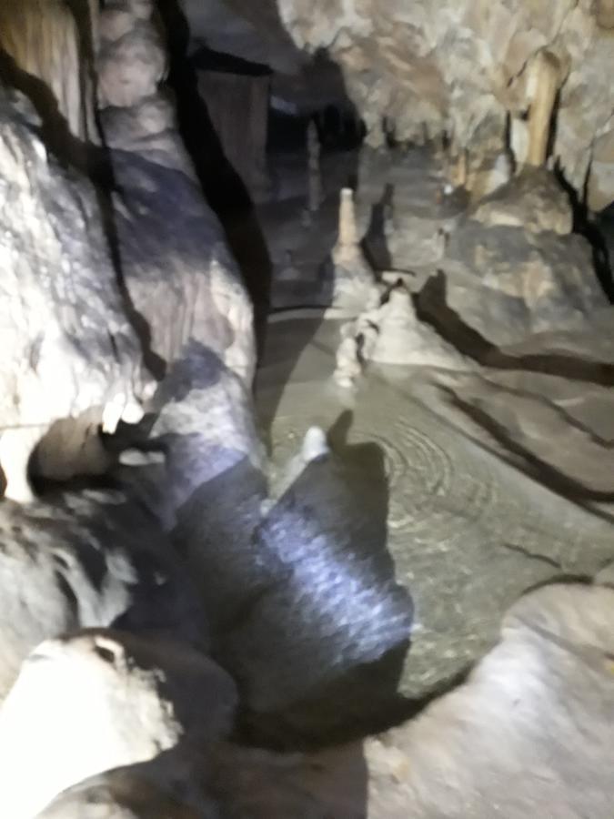 Pensiunea Piatra Graitoare Vartop Dış mekan fotoğraf