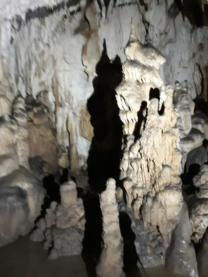 Pensiunea Piatra Graitoare Vartop Dış mekan fotoğraf