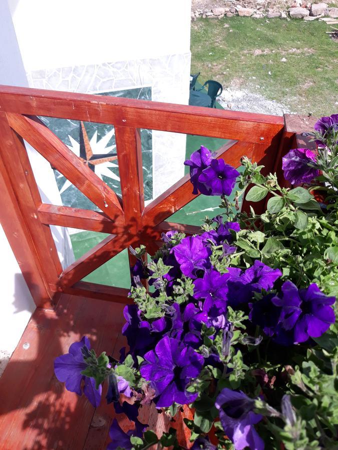 Pensiunea Piatra Graitoare Vartop Dış mekan fotoğraf