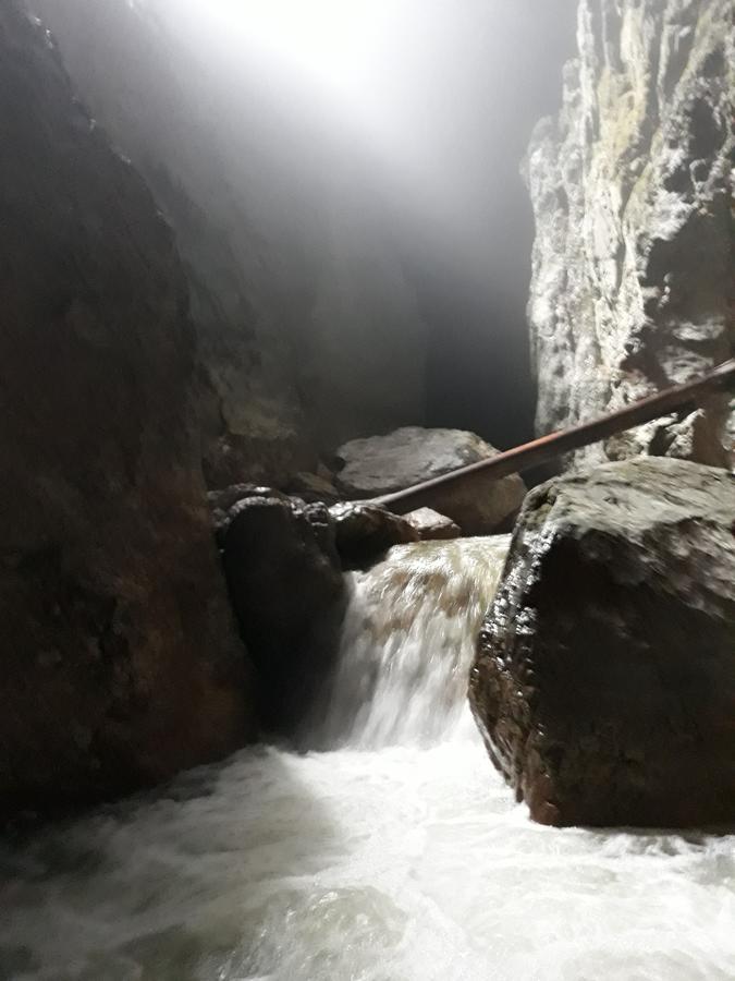 Pensiunea Piatra Graitoare Vartop Dış mekan fotoğraf